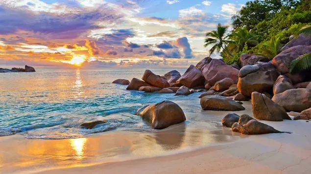 EasyGo Mobility Ja background image of beautiful sunset beach with boulders and lush plantation